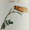 Marziano Abbona Roero Arneis Tistin 2016